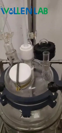 Reactor de vidrio de recipiente de caldera de reacción fotoquímica Gr-5 5L de China