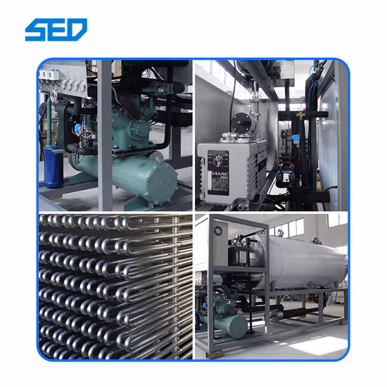 Planta de fabricante de máquinas de secado por congelación de alimentos al vacío completamente automática