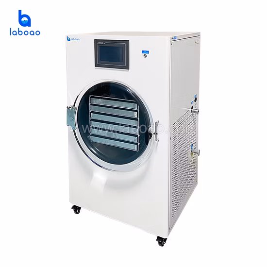 Laboao Mini Small Home Food Secador por congelación al vacío Equipo liofilizador