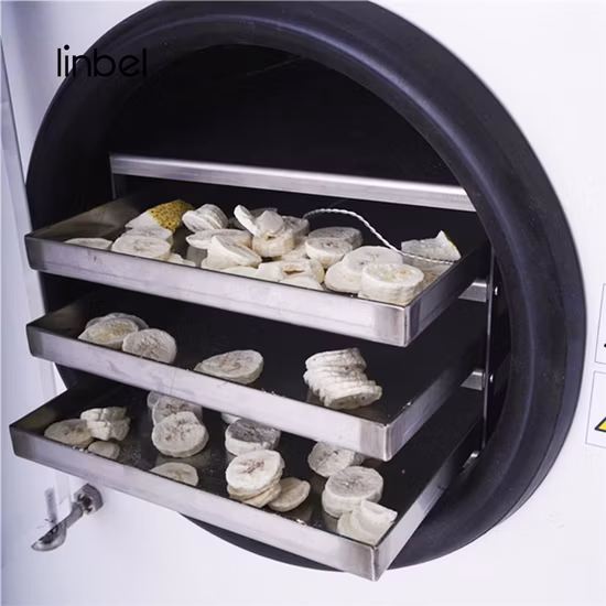 Liofilización en el hogar Secador por congelación de alimentos caseros Secador por congelación con bomba de vacío para el hogar