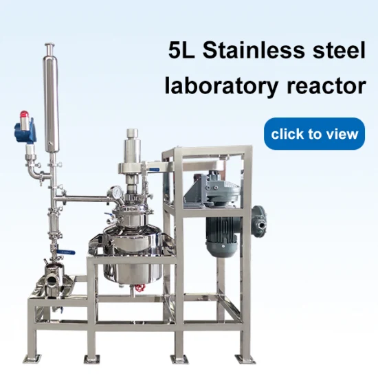 Reactor pequeño de alta presión de acero inoxidable para laboratorio con paleta agitadora magnética